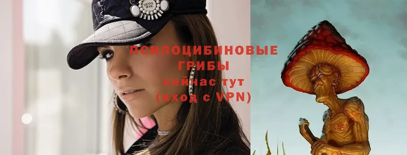 Псилоцибиновые грибы Psilocybe Западная Двина